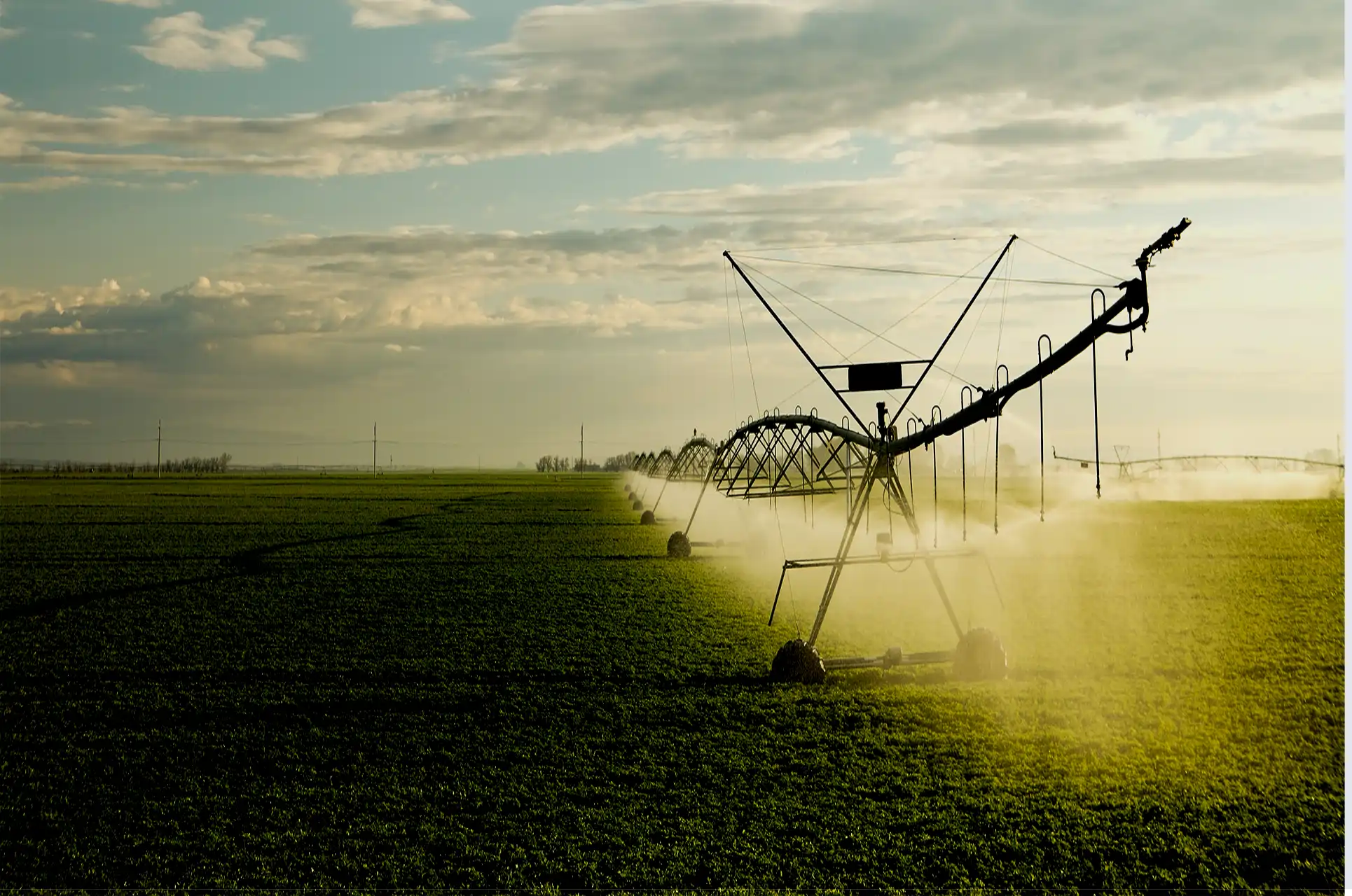 Desafios enfrentados pelo mercado de Agricultura Irrigada